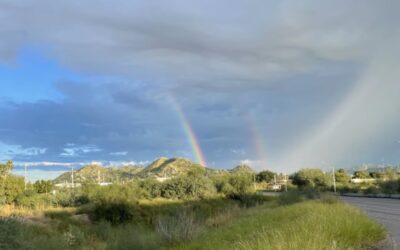 [VIDEO] El bosque Urbano de La Sauceda