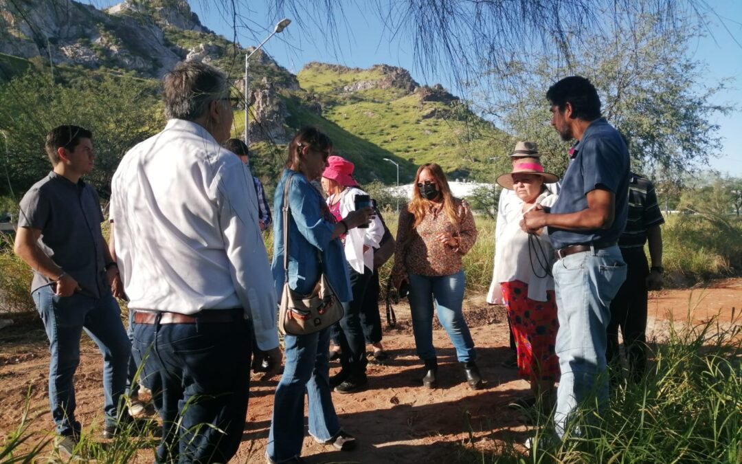 Municipio acepta respetar el arbolado existente en El Cárcamo
