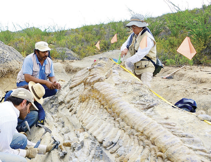 INAH Sonora impartirá charla sobre los orígenes de la vida en Sonora