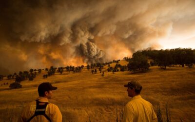 Aprendiendo a vivir el colapso: herramientas contra el sistema 1/3