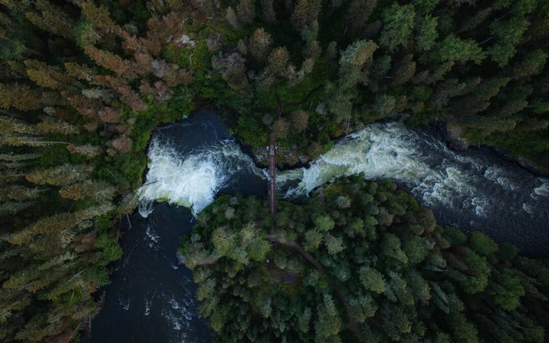 Se proyecta la primera mina de litio totalmente eléctrica del mundo en Canadá