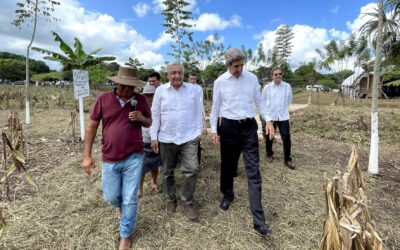 La (falsa) política climática de la 4T