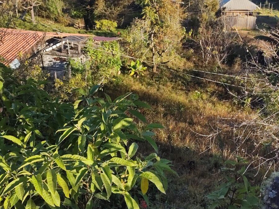 Familias de El Durazno huyen después de la masacre