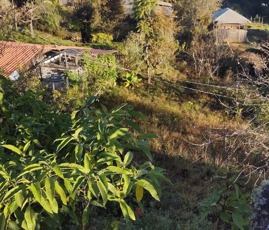 Familias de El Durazno huyen después de la masacre El Durazno huyen