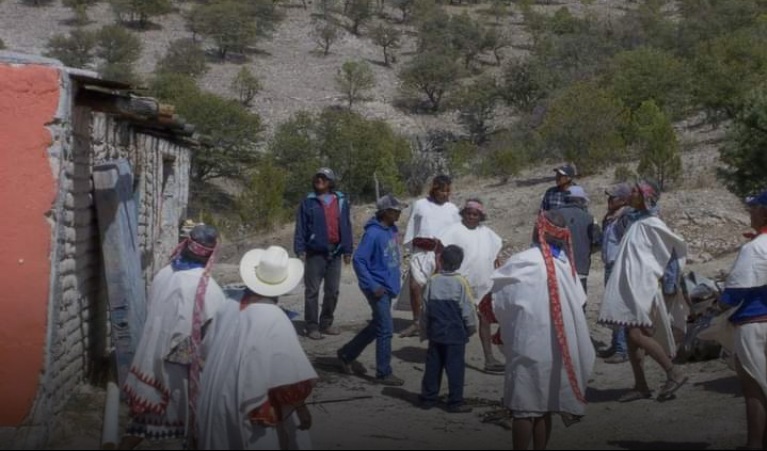 Baqueachi recupera las últimas hectáreas de su territorio en la Sierra Tarahumara