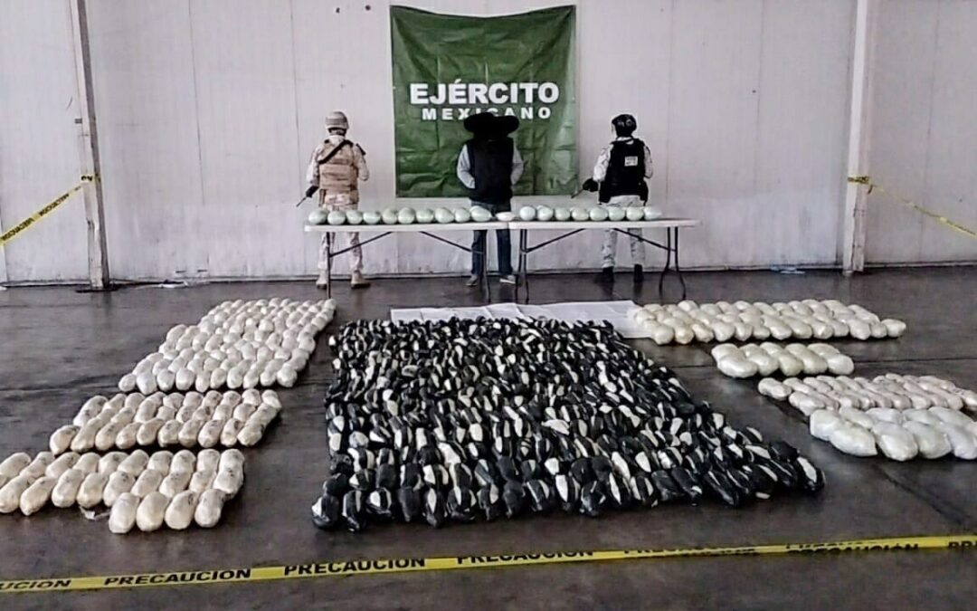 Decomisan más de 600 kilogramos de drogas en Querobabi