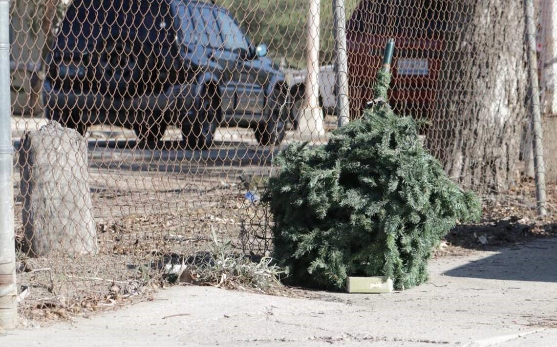 Arbolitos de navidad