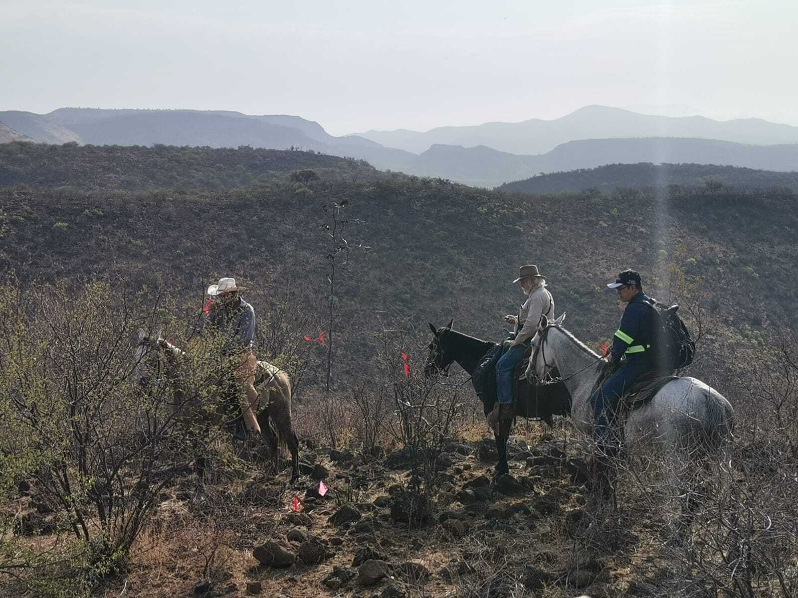 Las Chispas, Arizpe junio 2021