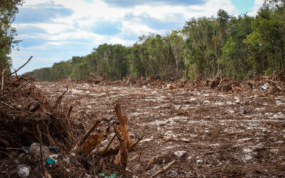 La inexistente agenda ambiental y el “tren maya”