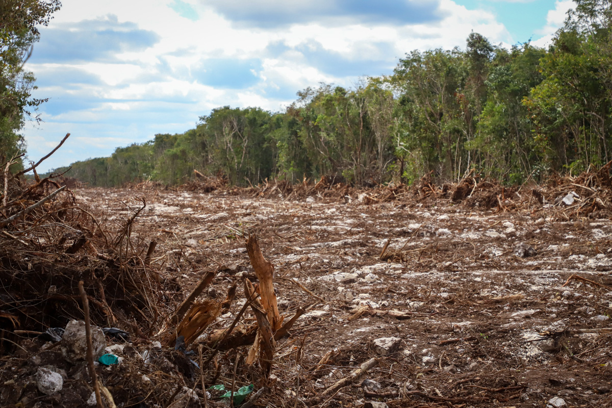 Imágenes de los trabajos del tramo 5 del Tren Maya, en Playa del Carmen, Quintana Roo.