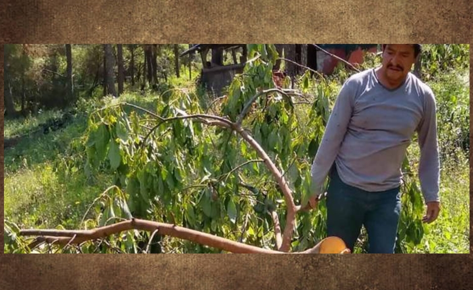 dark brown grungy texture More grungy wall backgrounds: