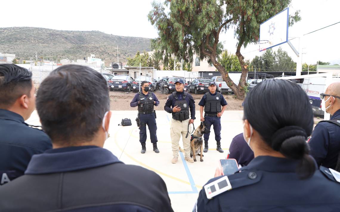 Seguridad presupuesto