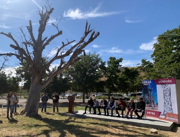 Habrá esculturas talladas en los árboles viejos de La Sauceda