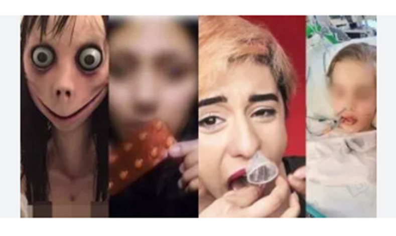 Diputada de Sonora solicita una campaña contra retos virales en redes sociales