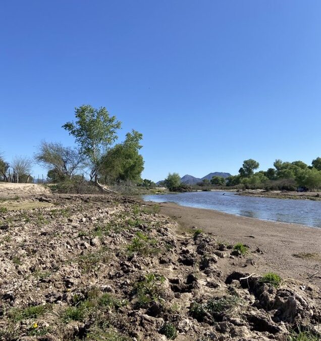 COMUNICADO: Avances y pendientes a 8 años y 7 meses del derrame en Río Sonora: Plan de salud, potabilizadoras, costos económicos y solidaridad académica