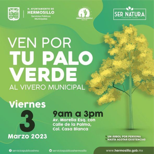 Campaña de donación de palo verde este viernes en el Vivero Municipal Harán campaña de donación de palo verde este viernes (2) (1)