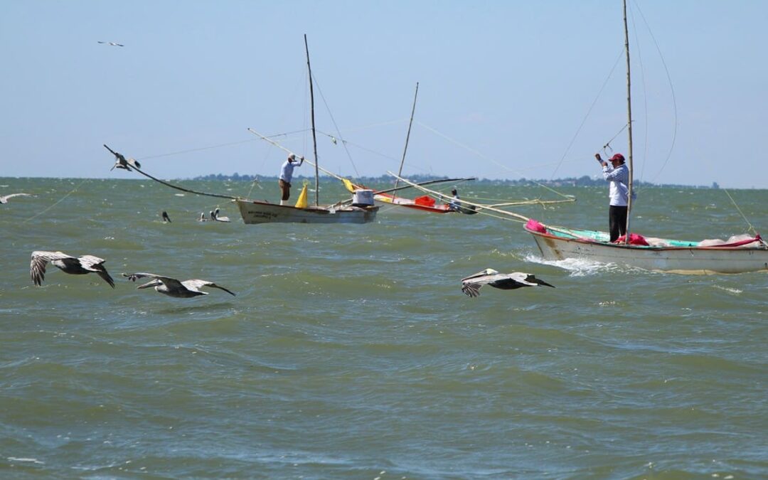Pescadores serán capacitados en primeros auxilios