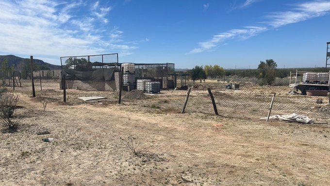 Falso que Policía Estatal haya incautado tigre de bengala en Hermosillo