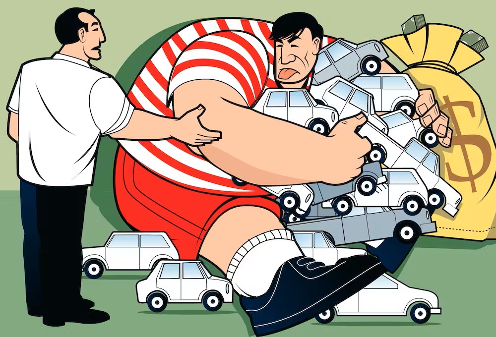 276f58cc-819f-4705-9247-8abb8289a192_ACAPARADOR+DE+AUTOS+CON+BOLSA