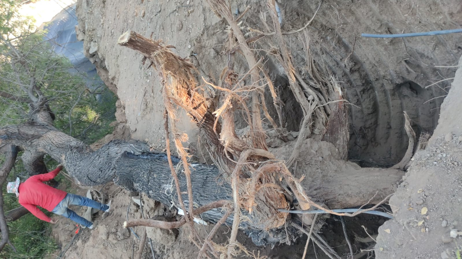 341708670_198014079647939_8630275104507152671_n