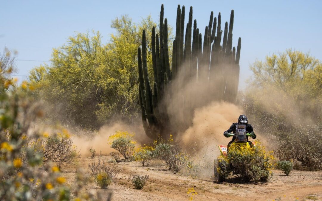 La Nueva Sauceda ¿Chapultepec de Sonora?