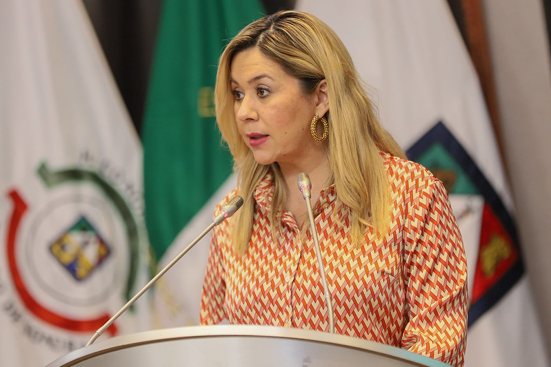 Buscan hacer valer la “Ley del Árbol” en el Congreso