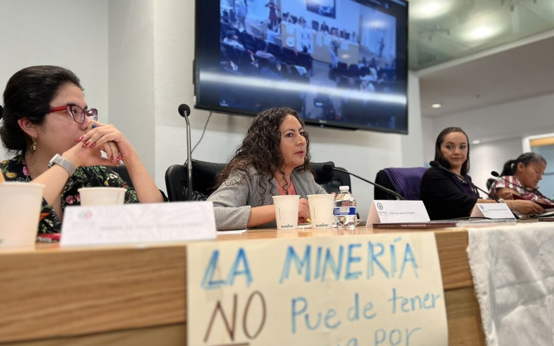 Habitantes del Río Sonora logran suspensión definitiva que ordena acciones urgentes y estratégicas por prevalencia de tóxicos mineros en el ambiente