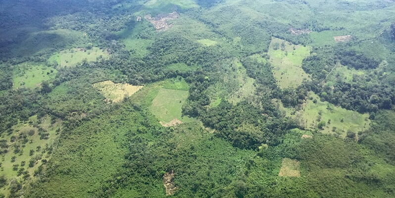 La sombra del narco se extiende por la Selva Lacandona