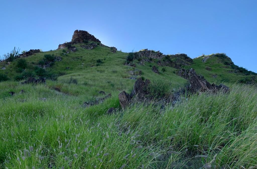 Buscan que La Cementera se integre a La Sauceda como reserva natural