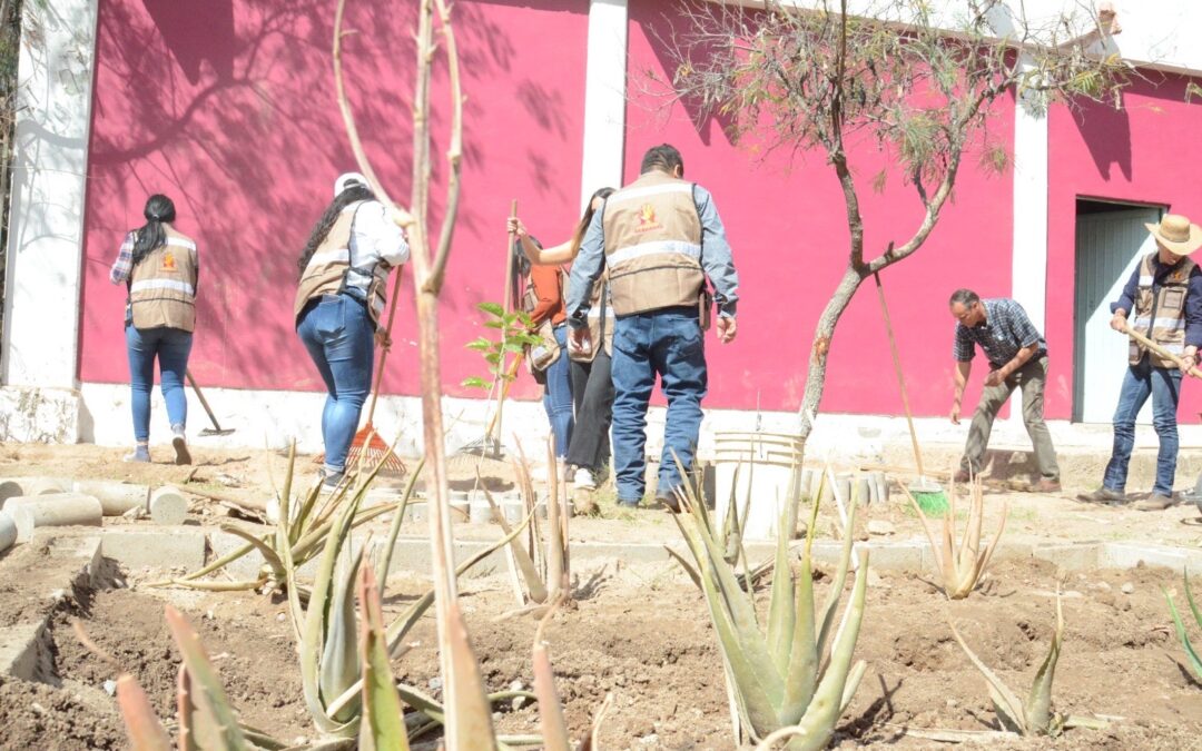 Trabaja Secretaría de Agricultura en implementación de huertos urbanos