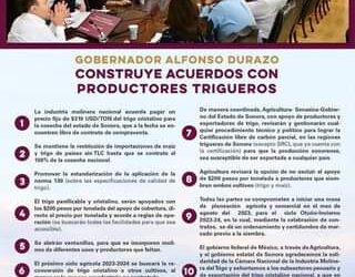Se debe de estimular la producción de trigo panificable a pequeños productores de menos de 200 hectáreas