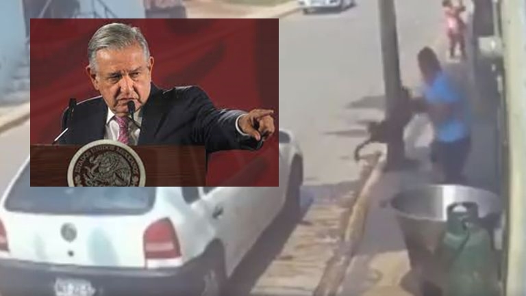 AMLO condena ataque a perrito y analiza fortalecer ley para proteger animales