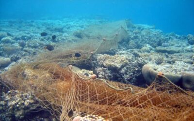 ¿De qué sirve el Tratado Global de los Océanos?