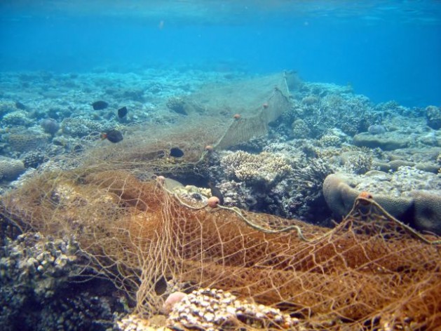 ¿De qué sirve el Tratado Global de los Océanos?