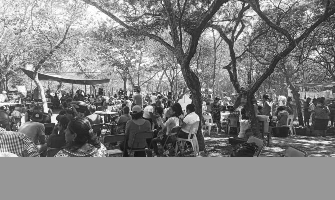 Reestablecen el Campamento Tierra y Libertad en Mogoñe Viejo, Oaxaca
