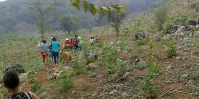 Ejecuciones, reclutamiento y desplazamiento forzado en la frontera sur de Chiapas