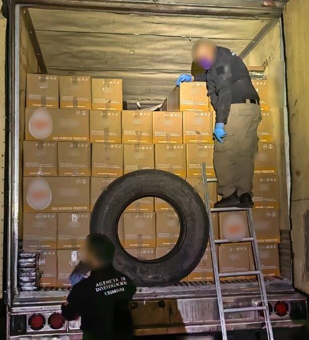 Decomisan 16 kilos de fentanilo ocultos en cajas de huevo
