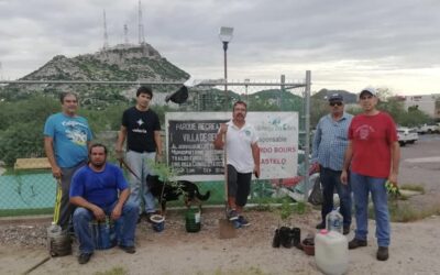Doscientas jornadas de limpieza y reforestación