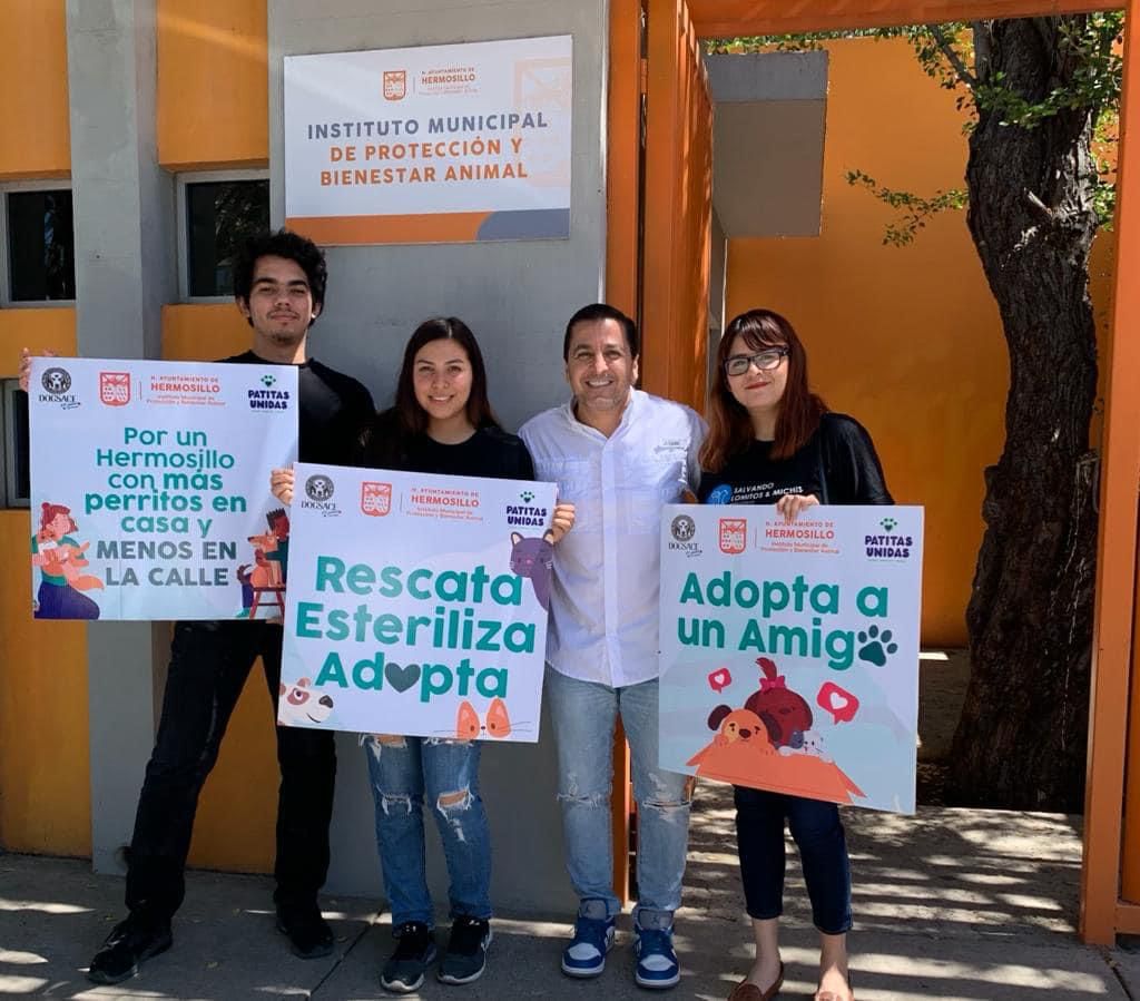 Llaman a ser parte de la campaña permanente de fomento de adopción de animales de compañía (2)