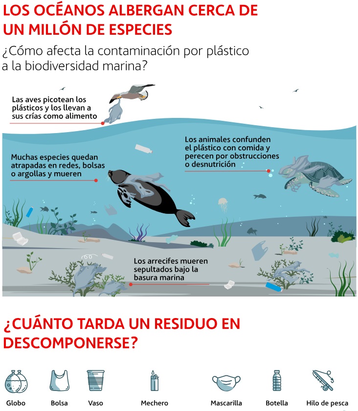 Día Mundial del Medio Ambiente, sólo hay una Tierra - Libera Radio