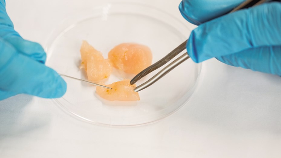 Aprueban venta de carne de pollo de laboratorio en EU