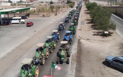 Los agrotitantes en su laberinto