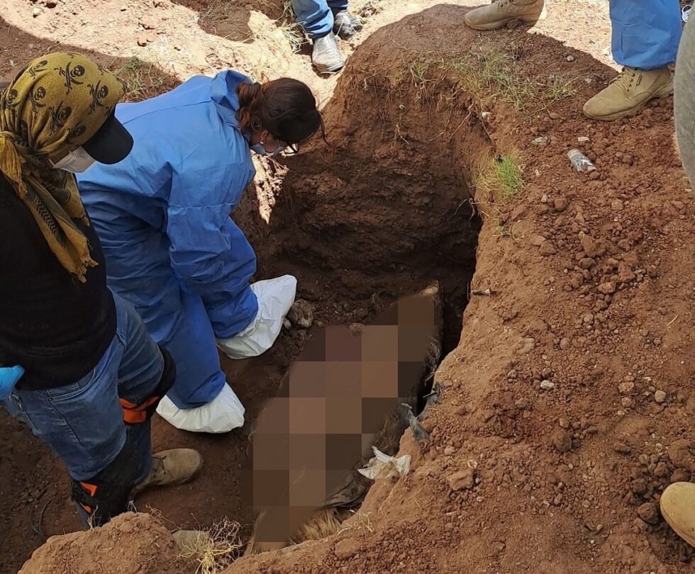 WhatsApp Image 2023-07-18 at 13.18.24