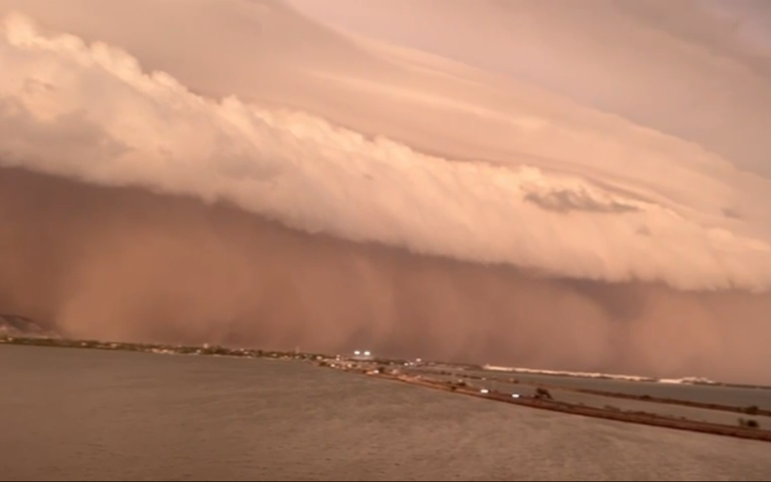 [Video] Así se vio la tormenta de arena que sorprendió a habitantes de Guaymas y Empalme