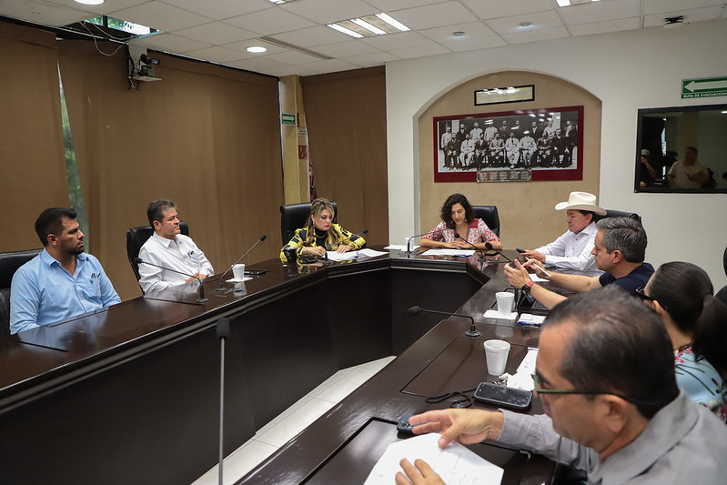 53121380218_e7d1706464_c