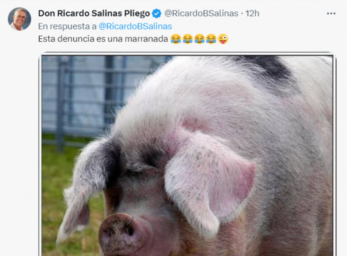 Castigado por el INE Salinas Pliego redobla ofensas contra senadora