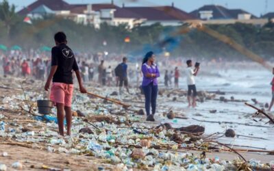 Plástico, basura y corporaciones