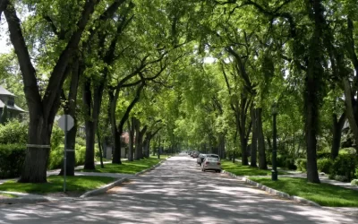 Las ciudades como ecosistemas