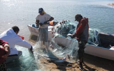 Las 44 pangas de motor que faltan, hasta enero del 2024, confirma Joel Barnett