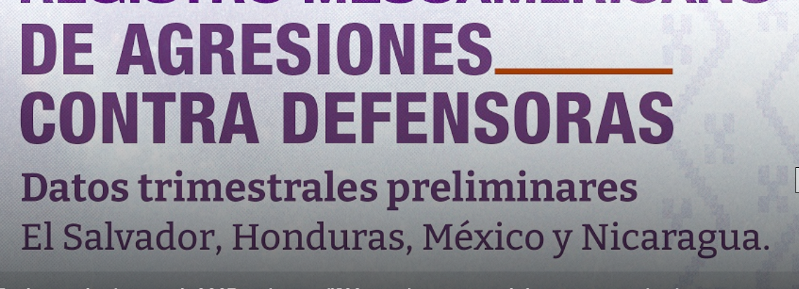 Defensoras